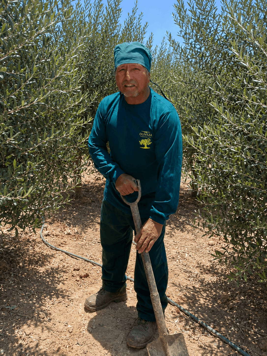 Equipo Oliveza en el campo